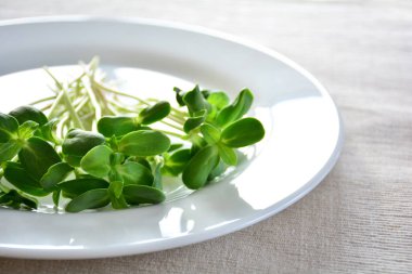 Yeşil ayçiçeği lahanası demet beyaz tabakta. Paskalya tablo hizmet dekorasyon