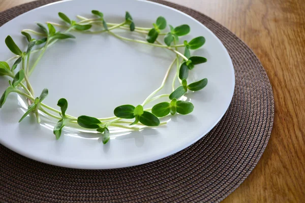 Stelletje Groene Zonnebloem Spruiten Geserveerd Een Witte Plaat Pasen Portie — Stockfoto