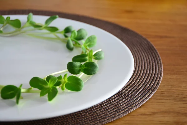 Stelletje Groene Zonnebloem Spruiten Geserveerd Een Witte Plaat Pasen Portie — Stockfoto