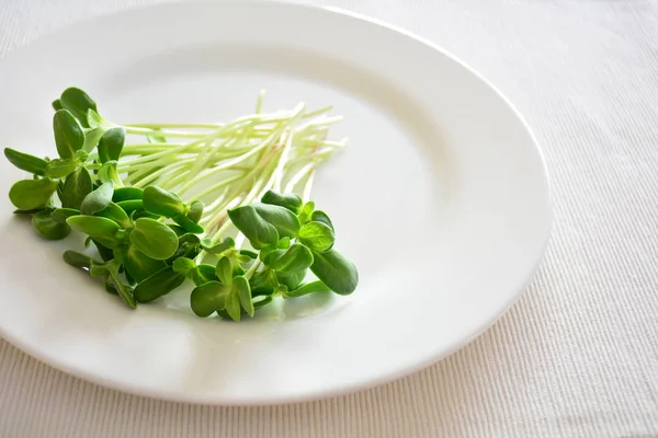 Bündel Grüner Sonnenblumenkohl Auf Einem Weißen Teller Serviert Ostertischdekoration — Stockfoto