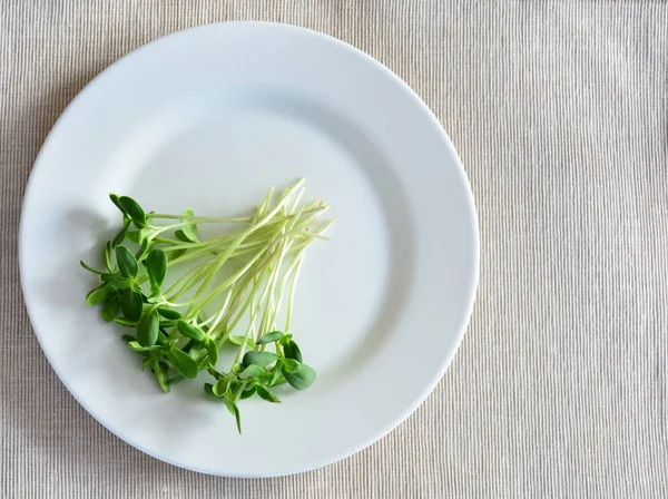 Stelletje Groene Zonnebloem Spruiten Geserveerd Een Witte Plaat Pasen Portie — Stockfoto