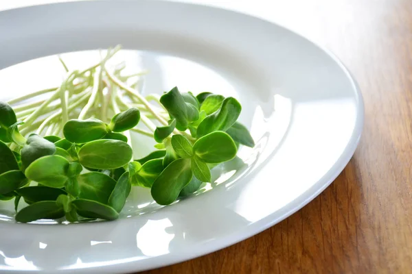 Зеленый свежий подсолнух - концепция здорового питания, крупный план — стоковое фото