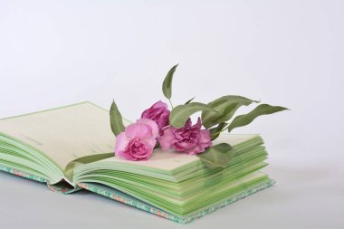 Provence stili pastel renkler defter günlüğü ve çiçekler