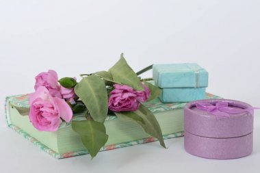 Provence stili pastel renkler defter günlüğü, çiçekler ve bo hediye