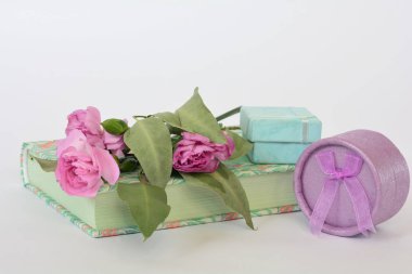 Provence stili pastel renkler defter günlüğü, çiçekler ve bo hediye
