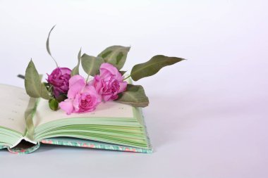 Provence stili pastel renkler defter günlüğü ve çiçekler