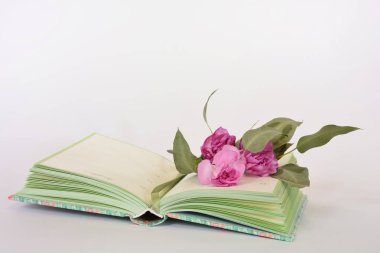 Provence stili pastel renkler defter günlüğü ve çiçekler