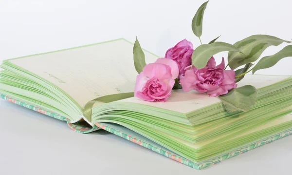 Prowansji stylu pastelowe kolory notebook pamiętnik i kwiaty — Zdjęcie stockowe