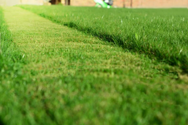 Segando el césped. Una perspectiva de hierba verde corte tira — Foto de Stock