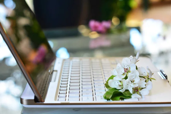 Spring in office. Cherry tree blossoms on white keyboard, bokeh background
