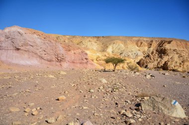 Kırmızı Kanyon 'daki mavi yol. Negev Çölü, Eilat, İsrail