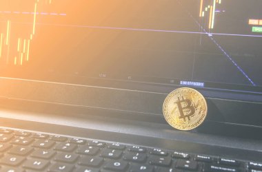 Bitcoin madeni para üzerinde modern siyah defter yerleştirilir. Yakın çekim fotoğraf Bitcoin, exchange sanal değeri, kripto dijital para. İnternet üzerinden canlı hisse senedi Alım Satım arka plan. Büyük tutarları, Emlak satış.
