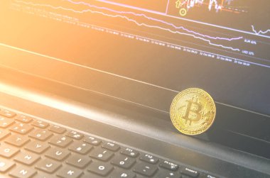 Bitcoin madeni para üzerinde modern siyah defter yerleştirilir. Yakın çekim fotoğraf Bitcoin, exchange sanal değeri, kripto dijital para. İnternet üzerinden canlı hisse senedi Alım Satım arka plan. Büyük tutarları, Emlak satış.