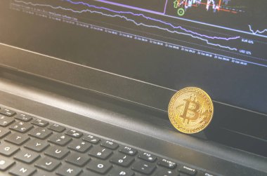 Bitcoin madeni para üzerinde modern siyah defter yerleştirilir. Yakın çekim fotoğraf Bitcoin, exchange sanal değeri, kripto dijital para. İnternet üzerinden canlı hisse senedi Alım Satım arka plan. Büyük tutarları, Emlak satış.