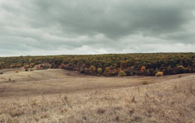 Sonbahar, muhteşem manzaralı, çayır, hill orman kaplı ve altın bir nehir üzerinde bırakır. Avrupa, Moldova'nın bir görünüm. Rengarenk ufuk. Büyük gri bulutlar birlikte yatay fotoğraf.