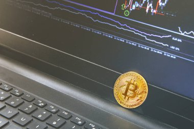 Bitcoin madeni para üzerinde modern siyah defter yerleştirilir. Yakın çekim fotoğraf Bitcoin, exchange sanal değeri, kripto dijital para. İnternet üzerinden canlı hisse senedi Alım Satım arka plan. Büyük tutarları, Emlak satış.