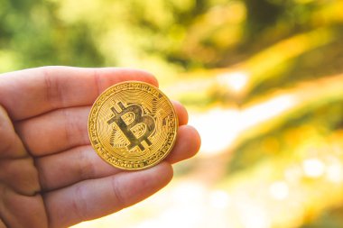 El tutarak bir altın bitcoin, orman, orman, park arka plan bulanık. modern değişim değeri kavramı, yeni elektronik sanal para, gelecek kavramı. Hisse senetleri ve Pazar yatırım için kullanılan