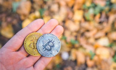  Altın tutan el ve ormandaki, sonbaharda gümüş bitcoin pa