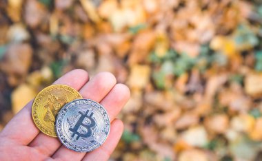 Altın tutan el ve ormandaki, sonbaharda gümüş bitcoin pa