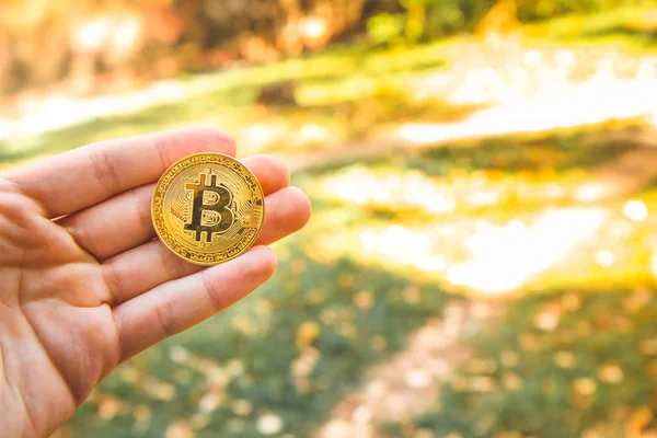 Bir altın bitcoin, ahşap arka plan bulanık ön plana tutan el