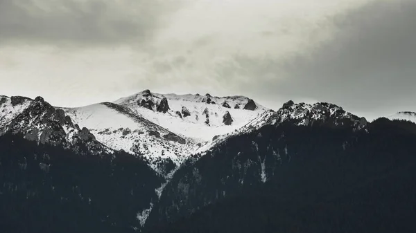 パノラマ風景高海岸ヨーロッパ カルパティア山脈 コピー ペースト領域を持つ素晴らしいワイド写真 極端な概念高危険なハイキング スキー練習 アルプス スポーツ デザイン入力イメージ — ストック写真