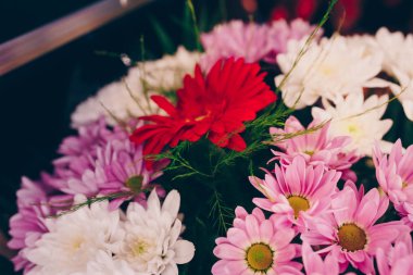 Bir demet pembe beyaz gerbera papatya buketi karışık çiçekler..