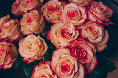 Bir demet pembe kırmızı beyaz gül buketi. Desen Taze