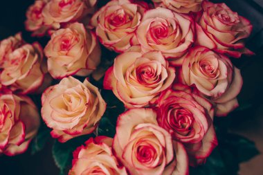 Bir demet pembe kırmızı beyaz gül buketi. Desen Taze