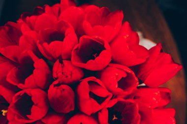 Bir demet pembe ve kırmızı beyaz laleler karışık çiçekler. F