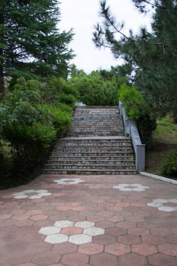 Doğa içinde taş merdiven