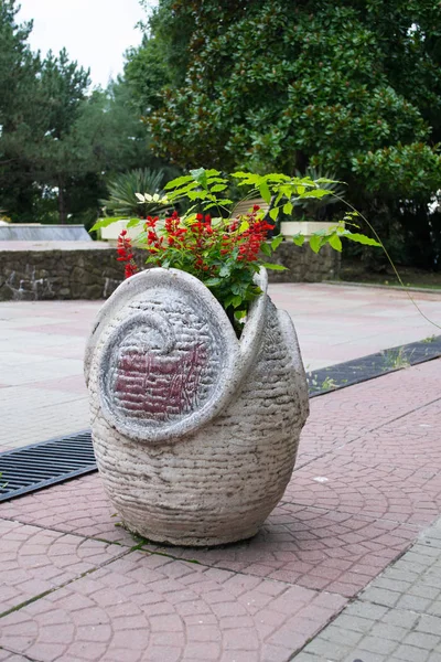 Panela de pedra com flores ao ar livre — Fotografia de Stock