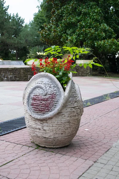 Stone pot with flowers outdoor — Stock Photo, Image