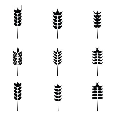 Hububat simge kümesi ile pirinç, buğday.