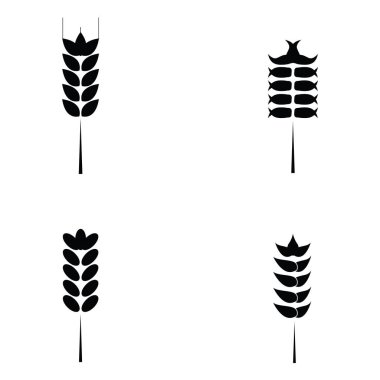 Hububat simge kümesi ile pirinç, buğday.