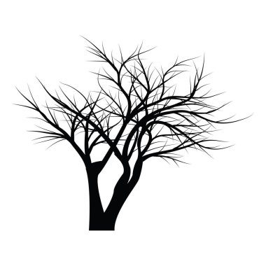 Ağaçlar ölü dallar