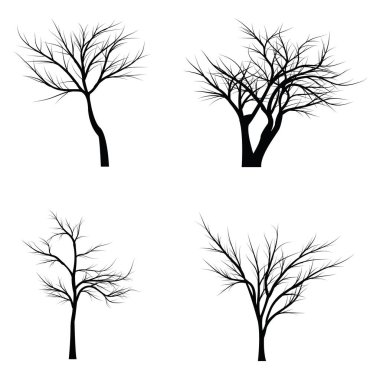 Ağaçlar ölü dallar