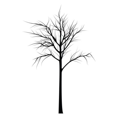 Ağaçlar ölü dallar