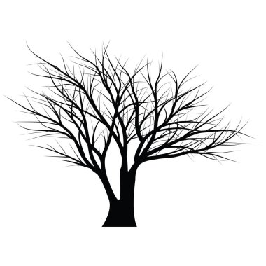 Ağaçlar ölü dallar