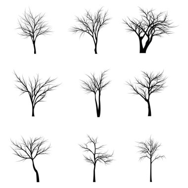 Ağaçlar ölü dallar