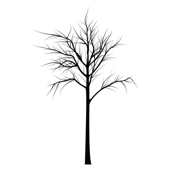 枯れ枝の木 — ストックベクタ