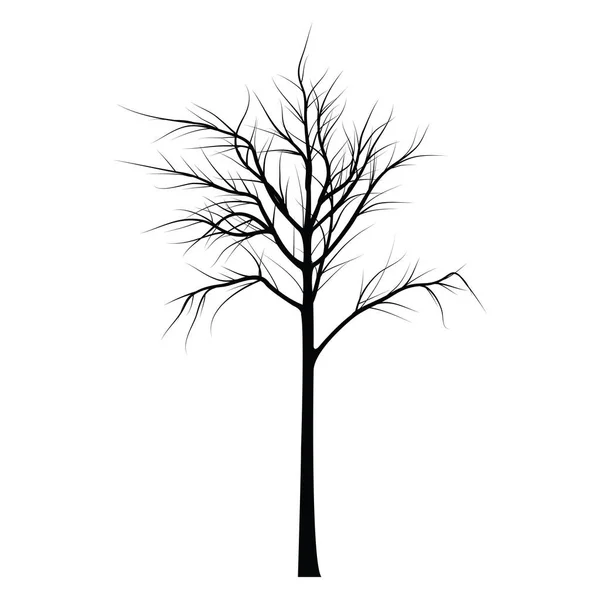 Arbres aux branches mortes — Image vectorielle