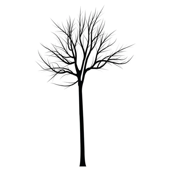 Arbres aux branches mortes — Image vectorielle