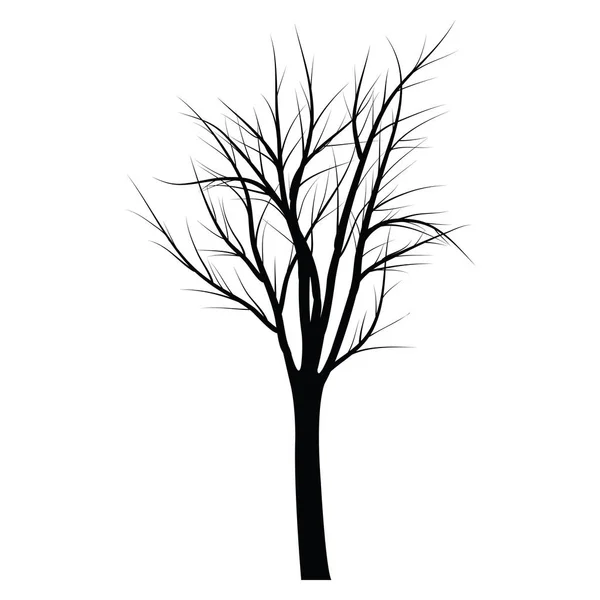 Arbres aux branches mortes — Image vectorielle