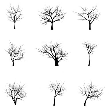 Ağaçlar ölü dallar