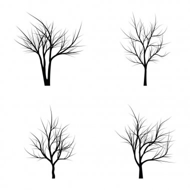 Ağaçlar ölü dallar