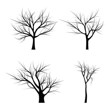 Ağaçlar ölü dallar