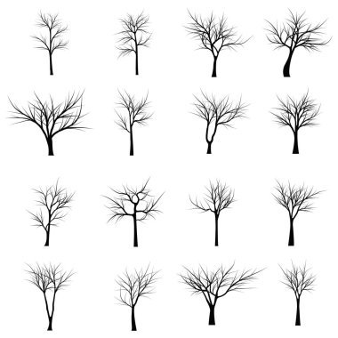 Ağaçlar ölü dallar