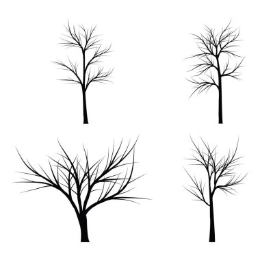 Ağaçlar ölü dallar