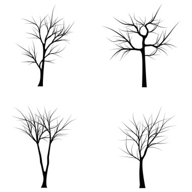 Ağaçlar ölü dallar