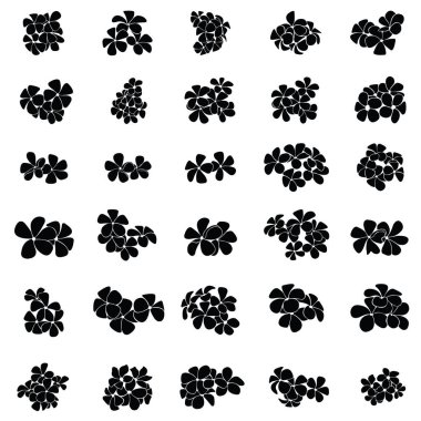 frangipani siluet seti